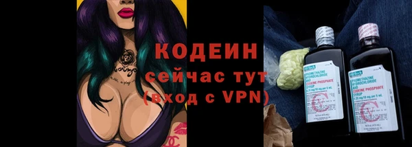 прущие грибы Абдулино
