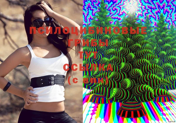 марихуана Абаза