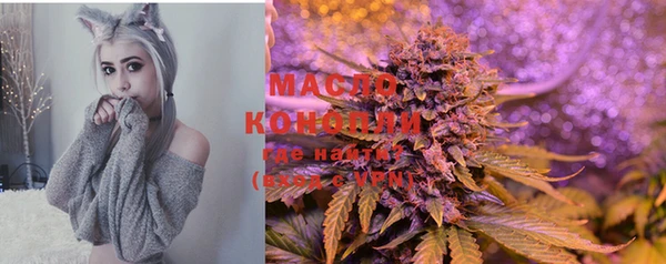 дживик Абинск