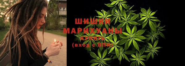прущие грибы Абдулино