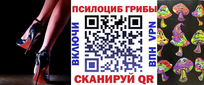 Псилоцибиновые грибы мицелий  Новокубанск 